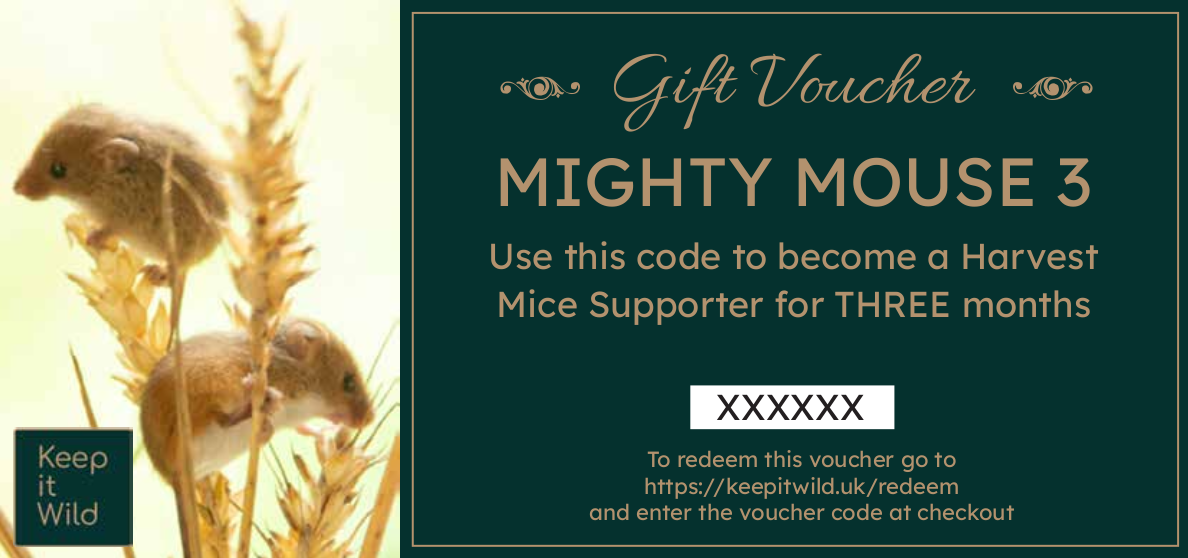 KiW Gift Voucher MM3 XX v3