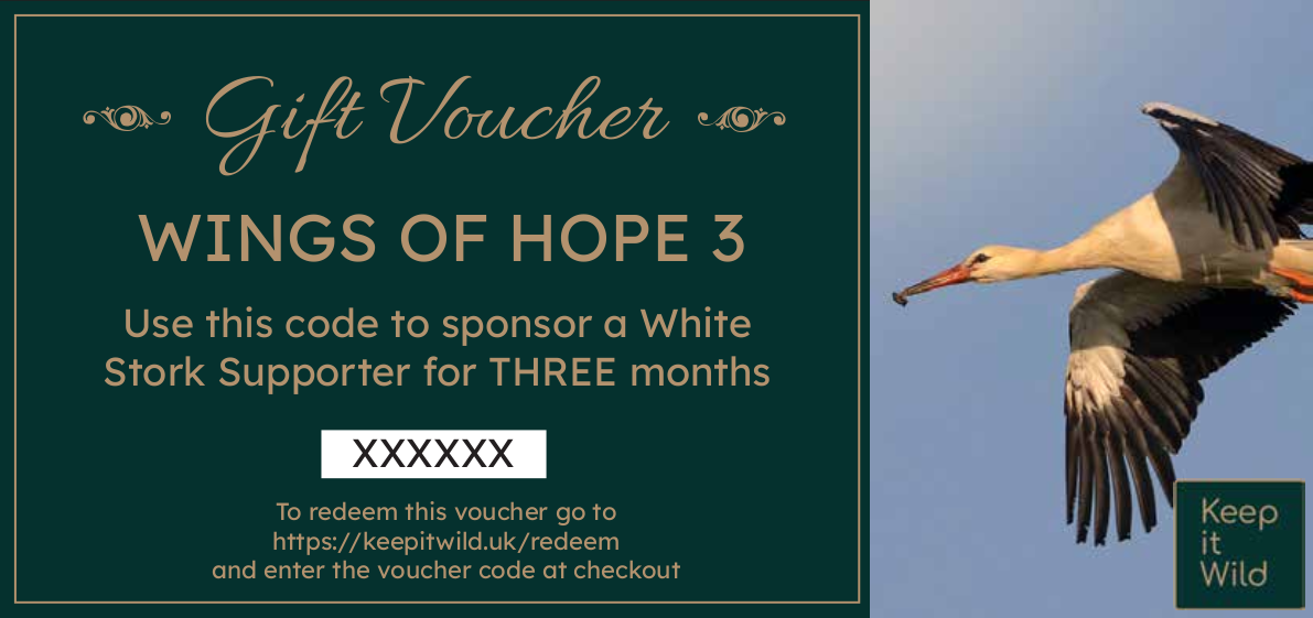 KiW Gift Voucher WoH3 XX v3