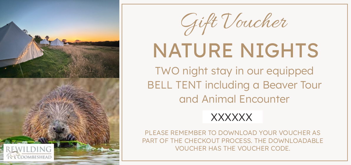 RWCH Gift Voucher BT v1 XX-2027