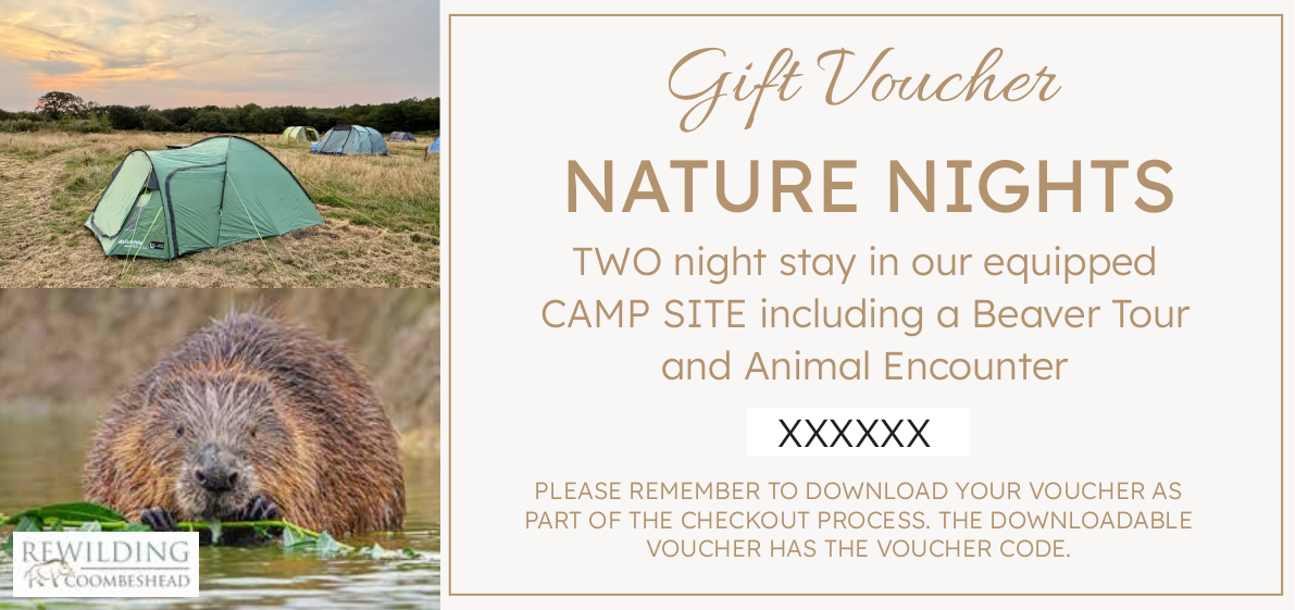 RWCH Gift Voucher CS v1 XX-2027